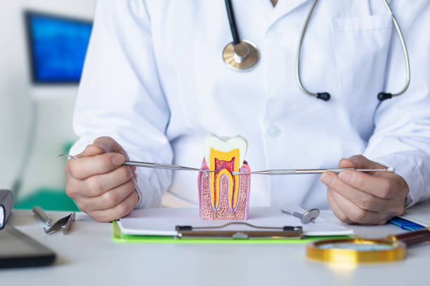 Best Emergency Wisdom Teeth Removal in Hoover, AL